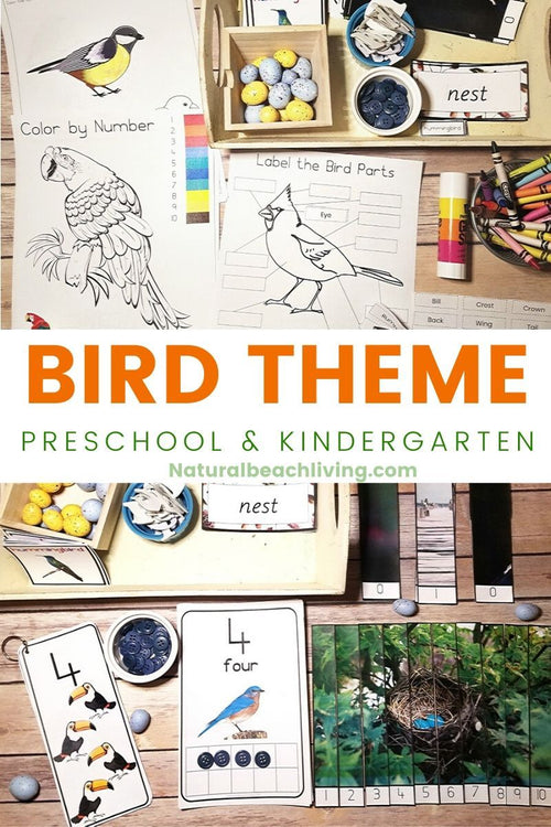 All About Birds Hands on Learning Activity Pack