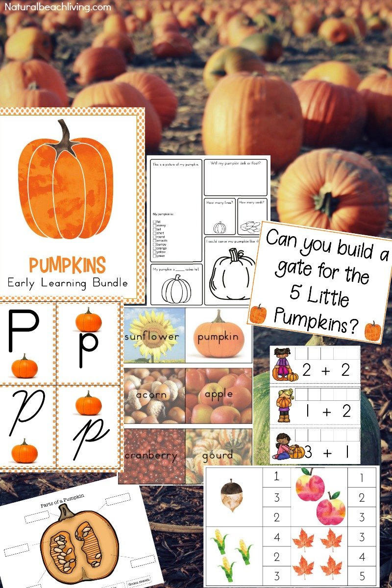 Kindergarten and Preschool Pumpkin Theme Lesson Plan