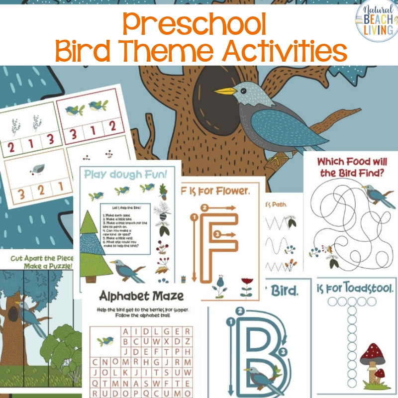 Birds Preschool Activity Pack