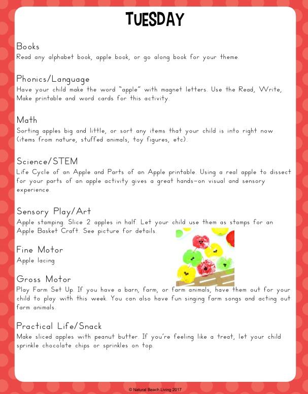 Kindergarten and Preschool Apple Theme Unit