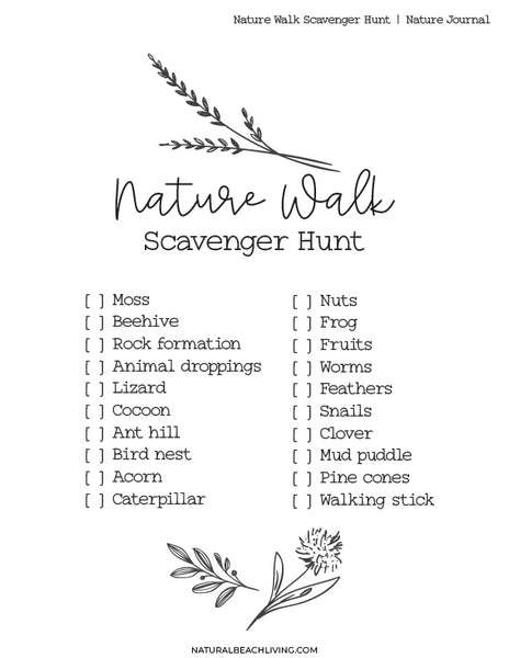 Nature Activities, Scavenger Hunt, Leaf Identifier, Types of Clouds ...