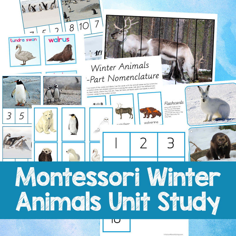 Montessori Winter Animals Themed Unit Study Printables