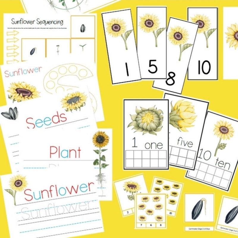 Sunflower Unit Study, Sunflower Life Cycle, Parts of Sunflower, Montessori and Charlotte Mason inspired