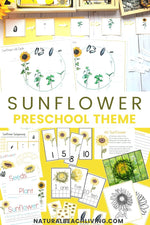 Sunflower Unit Study, Sunflower Life Cycle, Parts of Sunflower, Montessori and Charlotte Mason inspired