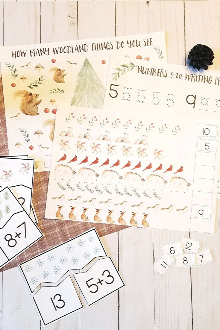 Winter Woodland Animals Montessori Math