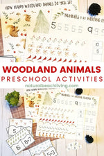 Winter Woodland Animals Montessori Math