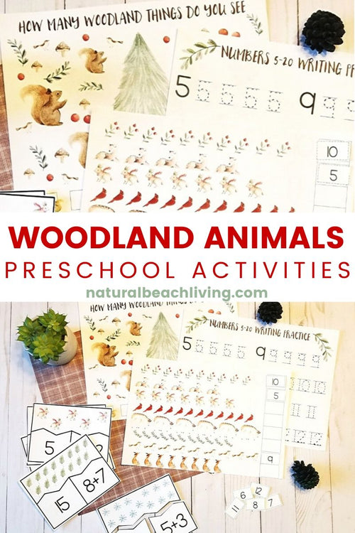 Winter Woodland Animals Montessori Math