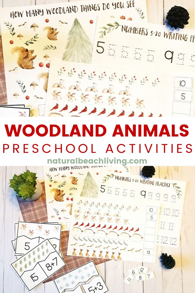 Winter Woodland Animals Montessori Math