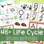 45+ Life Cycle Activities and Printables