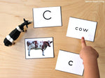 Alphabet Printable Picture Cards - Visual Word Cards