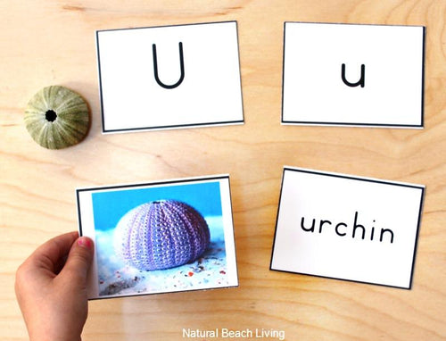Alphabet Printable Picture Cards - Visual Word Cards