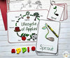 Apple Tree Life Cycle Activities