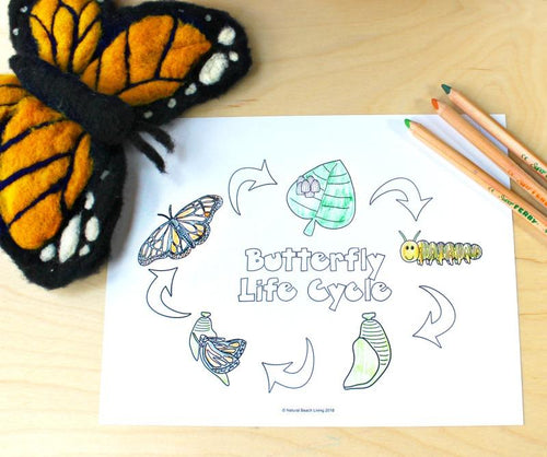 45+ Life Cycle Activities and Printables