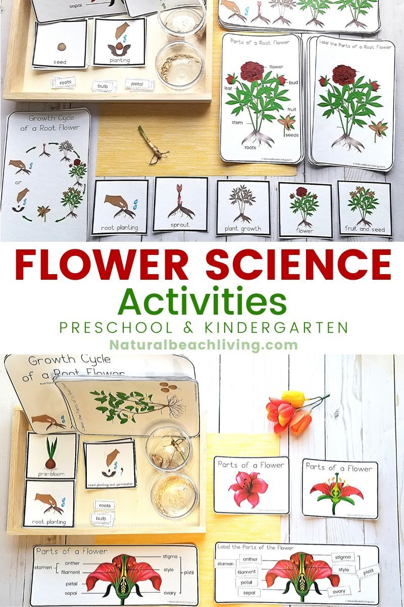 Flower Theme Activities