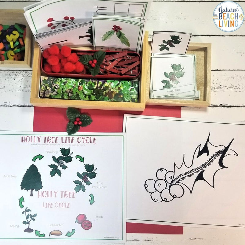 Holly Theme Unit for 3-9 year olds
