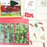Holly Theme Unit for 3-9 year olds