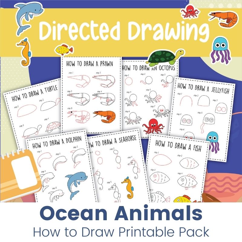 Aquatic animal Drawing, Fish, food, animals png | PNGEgg