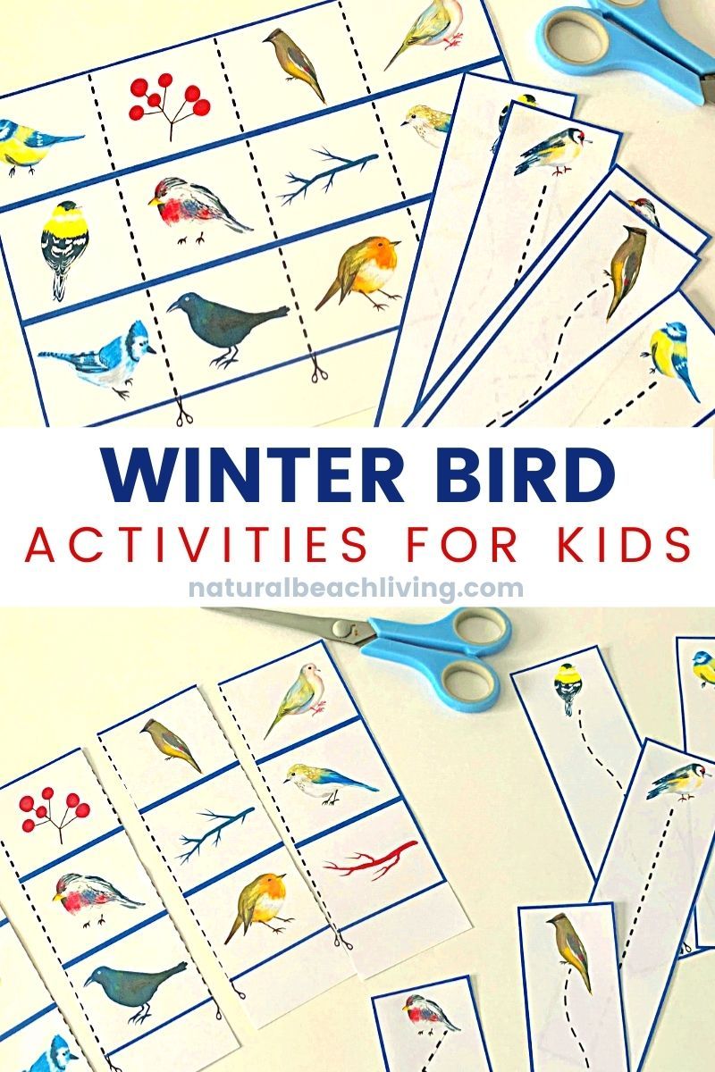 Winter Birds Printable Activities