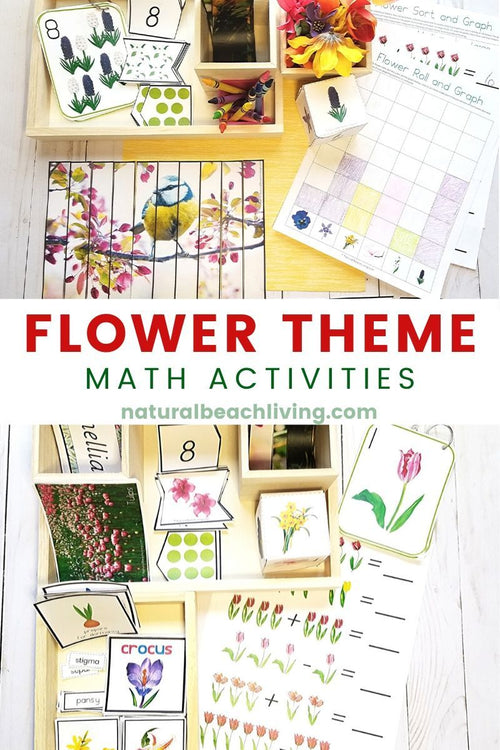 Flower Theme Math Activities