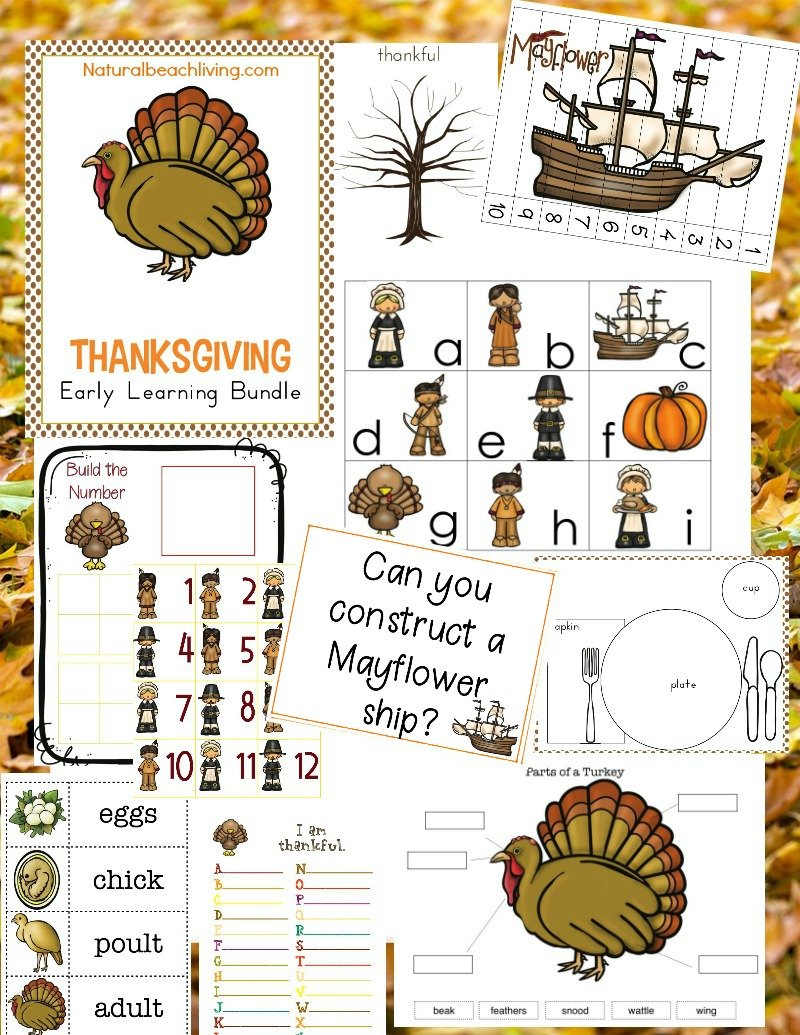 Kindergarten and Preschool Thanksgiving Theme Lesson Plan