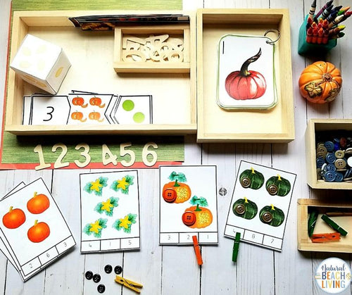 Montessori Pumpkin Unit Study