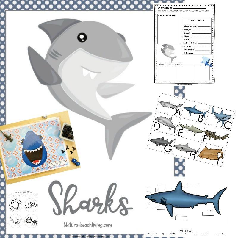 Shark Printable Activities Pack