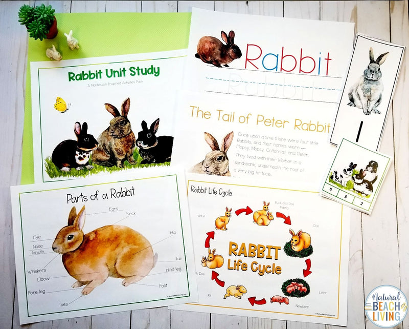 Montessori Inspired Bunny Rabbit Themed Lesson Plans
