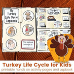 Turkey Life Cycle Lapbook / Interactive Notebook