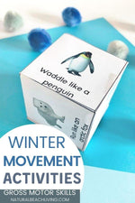 Winter Montessori Activities and Lessons
