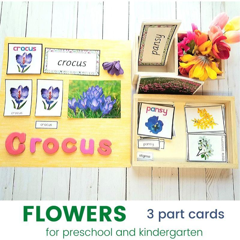Montessori Flowers 3 Part Cards