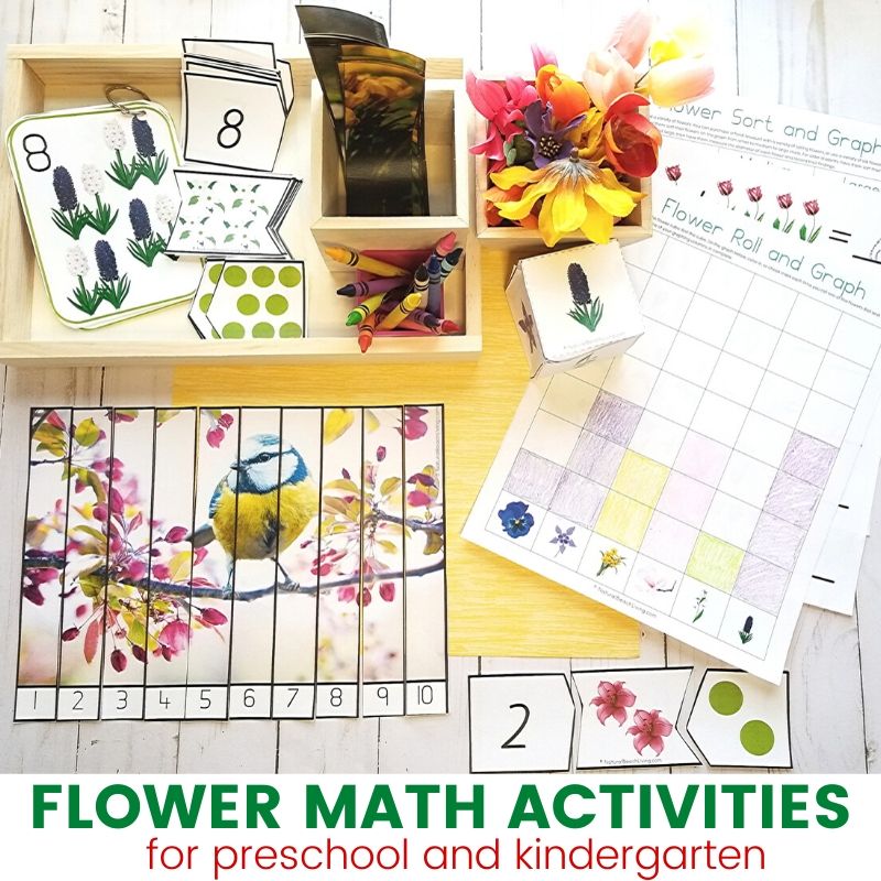 Flower Theme Math Activities