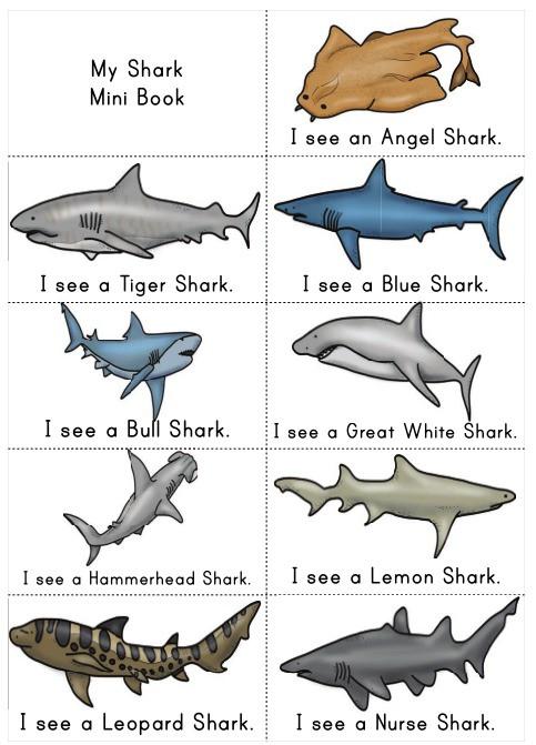 Shark Activities for Kids with Free Printables - Natural Beach Living