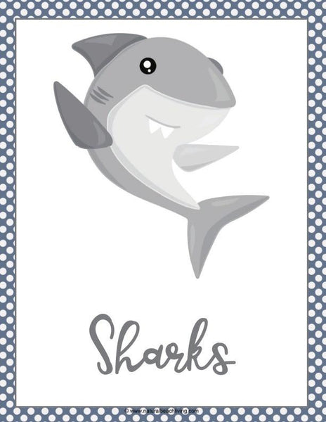 Shark Printable Activities Pack – shop natural beach living