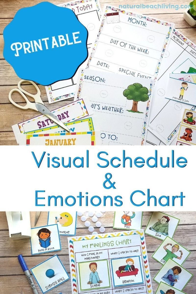 Daily Schedule for Kids - Picture Schedule and Autism Visual Schedule Printables